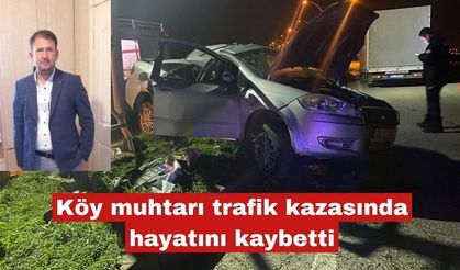 Köy muhtarı trafik kazasında hayatını kaybetti