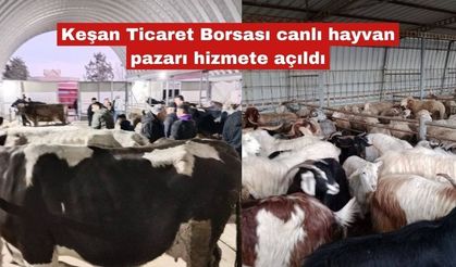 Canlı hayvan borsası açıldı