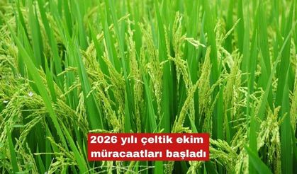 2026 yılı çeltik ekim müracaatları başladı