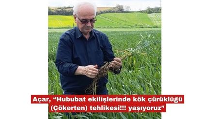 Açar, “Hububatta kök çürüklüğü tehlikesi!!! yaşıyoruz”