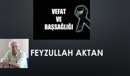 Gazeteci Yazar Feyzullah Aktan vefat etti