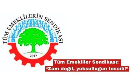 Tüm Emekliler Sendikası: “Zam değil, yoksulluğun tescili!”