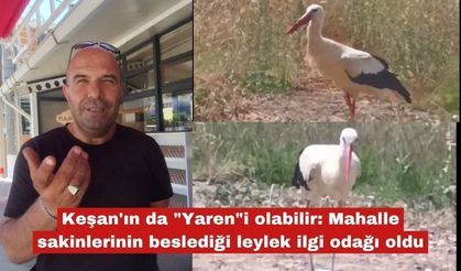 Keşan'ın da "Yaren"i olabilir. İsmini siz koyun