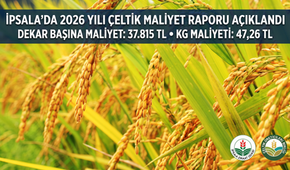 İpsala’da 2026 yılı çeltik maliyet raporu açıklandı