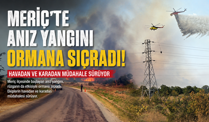 Meriç’te anız yangını ormana sıçradı