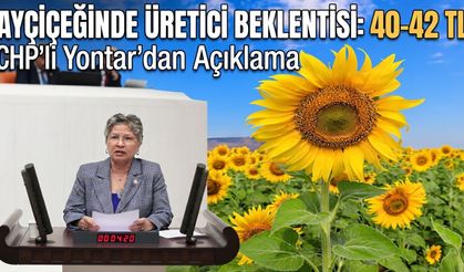Nurten Yontar’ın ayçiçeği fiyatları ile ilgili açıklaması