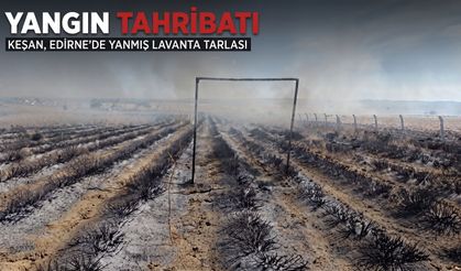 Keşan'da Lavanta tarlasında yangın