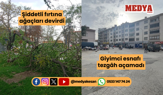 Şiddetli fırtına ağaçları devirdi