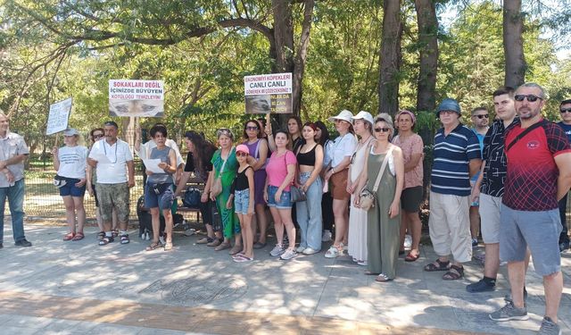 KEHAYKO'dan sokak hayvanları yasa tasarına tepki