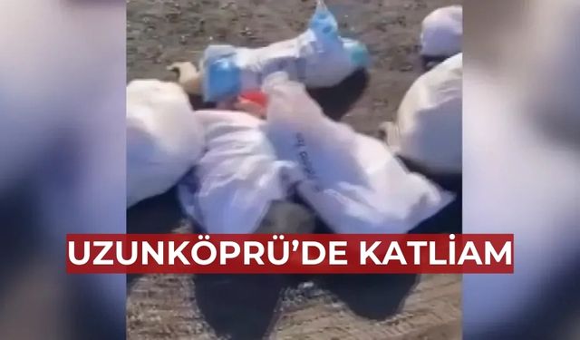 Uzunköprü'de hayvan katliamı