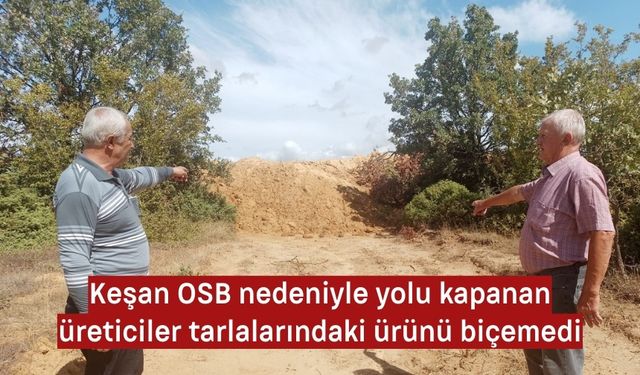 OSB'den dolayı yolu kapanan çiftçiler ürünlerini hasat edemedi