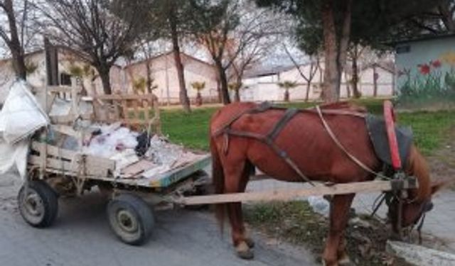 Keşan'da at arabası çalındı