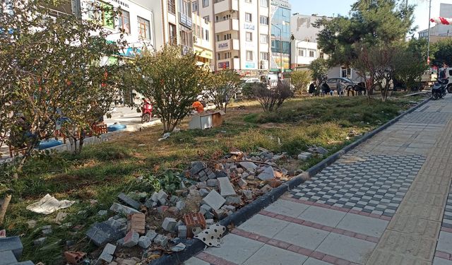 Dr. Tayyip Akalın Caddesi’ndeki parkın düzenlenmesi isteniyor