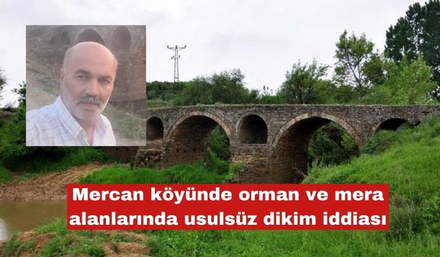 Mercan köyünde usulsüz ağaç dikimi iddiaları