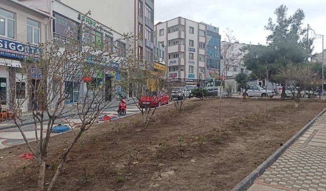 Dr. Tayyip Akalın Caddesi’ndeki park düzenlendi