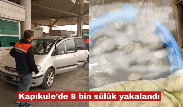 Kapıkule'de kaçak 8 bin adet sülük ele geçirildi