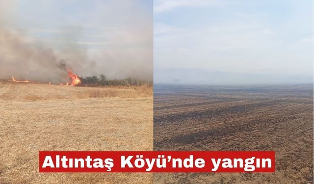 Altıntaş Köyü’nde yangın. 3 bin dönüm alan zarar gördü
