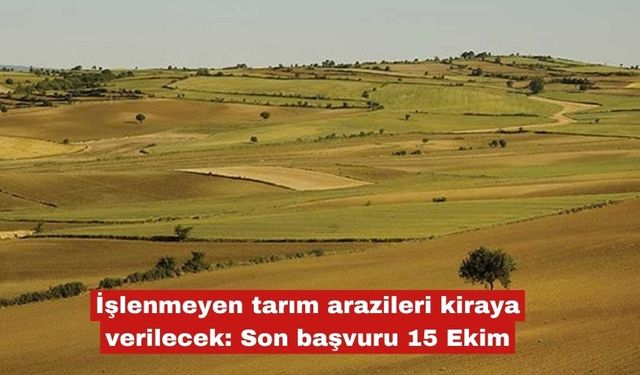İşlenmeyen tarım arazileri kiraya verilecek