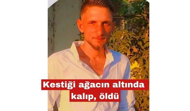 Kestiği ağacın altında kalıp, öldü