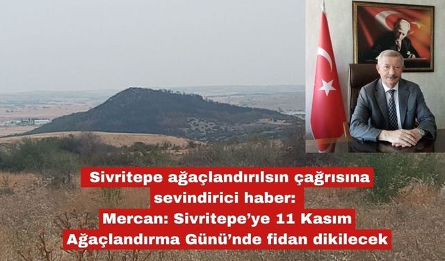 Sivritepe ağaçlandırılsın çağrımıza sevindirici haber
