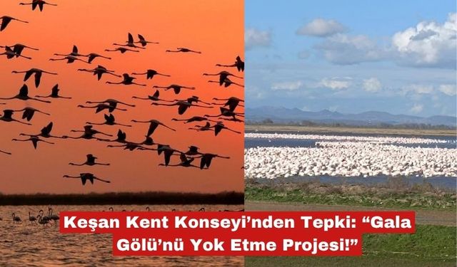 Keşan Kent Konseyi'nden "Gala Gölü'ne kıymayın"