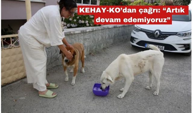 KEHAY-KO’dan çağrı: “Artık devam edemiyoruz”