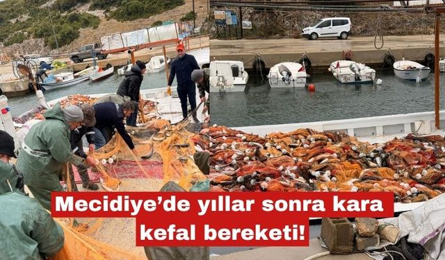 Mecidiye’de yıllar sonra kara kefal bereketi!