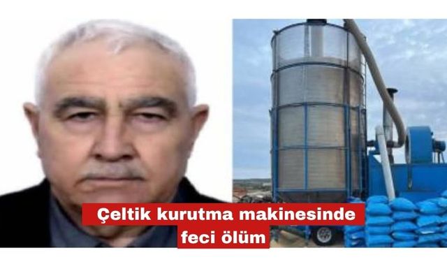 Çeltik kurutma makinesinde feci ölüm