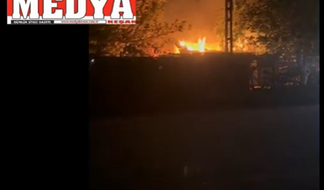 Erikli'de  çıkan  yangın söndürüldü