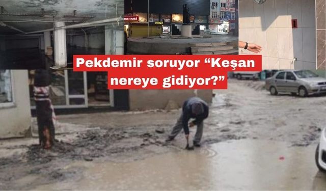 Pekdemir soruyor “Keşan nereye gidiyor?”