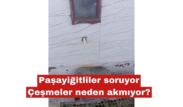 Paşayiğitliler yetkililere soruyor