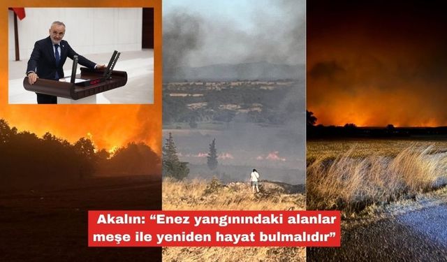 Akalın, "Enez yangındaki alanlara meşe ekilmelidir"