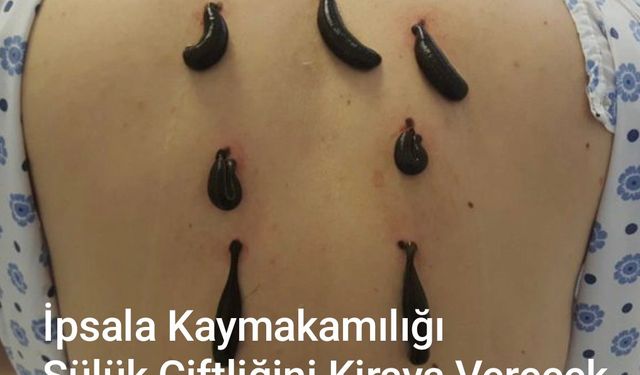 Kaymakamlık Sülük Çiftliğini kiralayacak