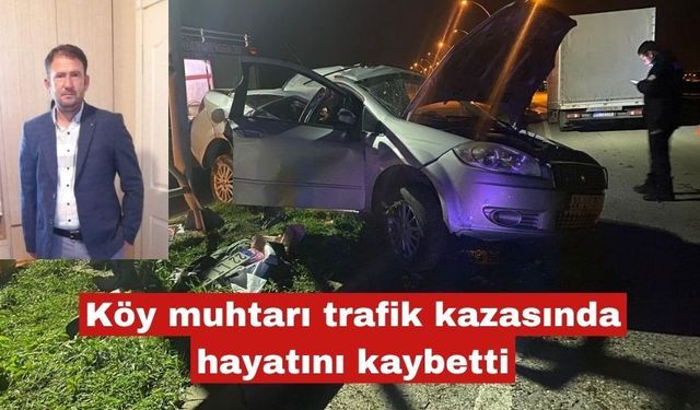 Köy muhtarı trafik kazasında hayatını kaybetti