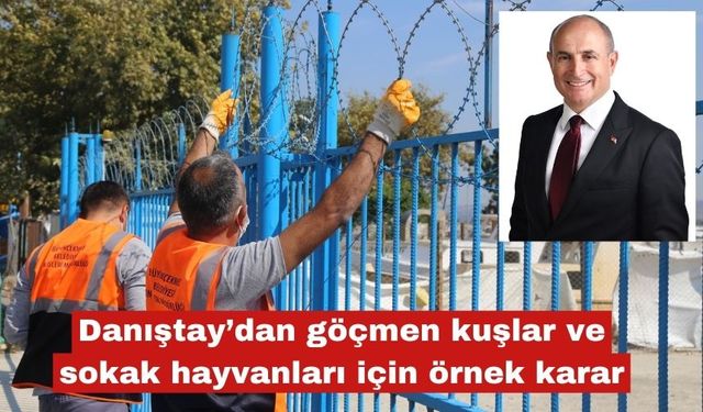 Danıştay’dan kuşlar ve sokak hayvanları için örnek karar