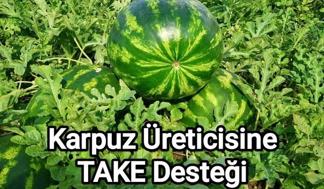 Edirne’de karpuz üretimine %50 Hibe