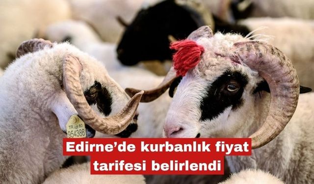 Edirne’de kurbanlık fiyat tarifesi belirlendi