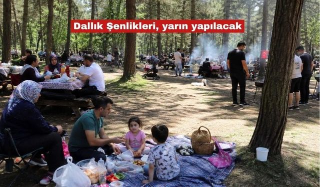 Dallık Şenlikleri, yarın yapılacak