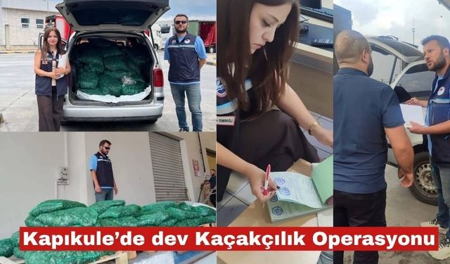 Kapıkule’de dev Kaçakçılık Operasyonu