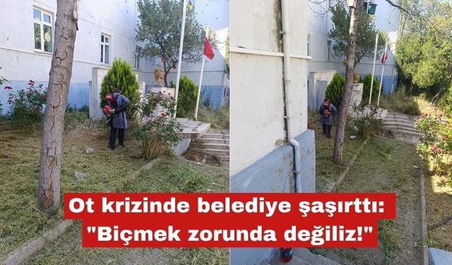 "Ot" krizinde belediye şaşırttı: "Biçmek zorunda değiliz!"
