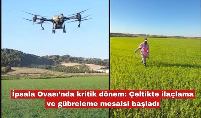 Çeltikte ilaçlama ve gübreleme mesaisi başladı