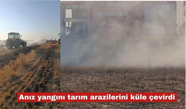 Anız yangını tarım arazilerini küle çevirdi