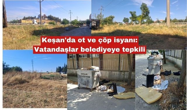 Keşan'da ot ve çöp isyanı: Vatandaşlar belediyeye tepkili