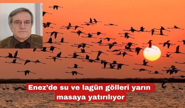 Enez’de su ve lagün gölleri yarın masaya yatırılıyor