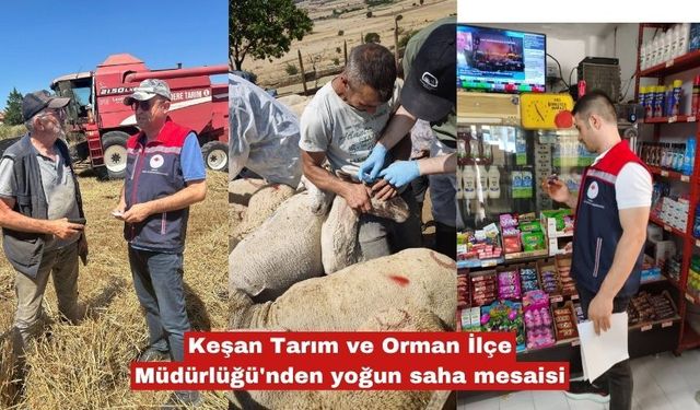 Keşan Tarım ve Orman İlçe Müdürlüğü'nden yoğun saha mesaisi