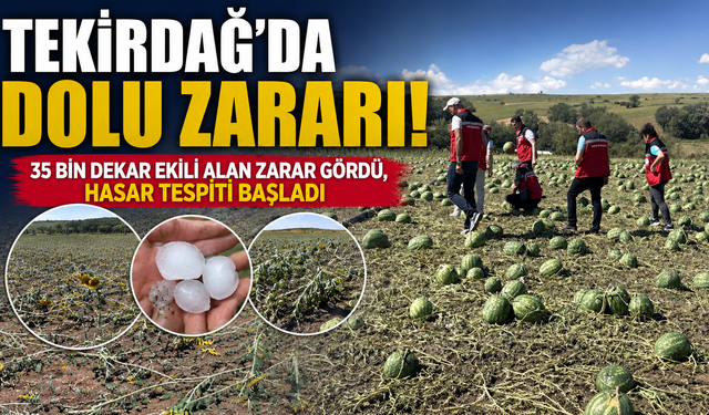35 Bin ekili alan zarar gördü
