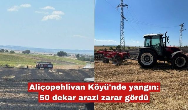 Aliçopehlivan Köyü'nde yangın: 50 dekar arazi zarar gördü
