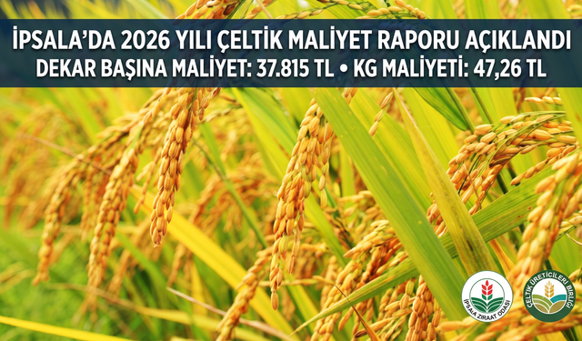İpsala’da 2026 yılı çeltik maliyet raporu açıklandı