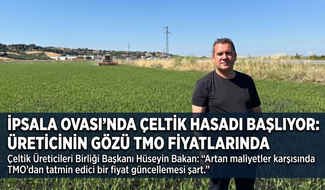 İpsala Ovası’nda çeltik hasadı başlıyor