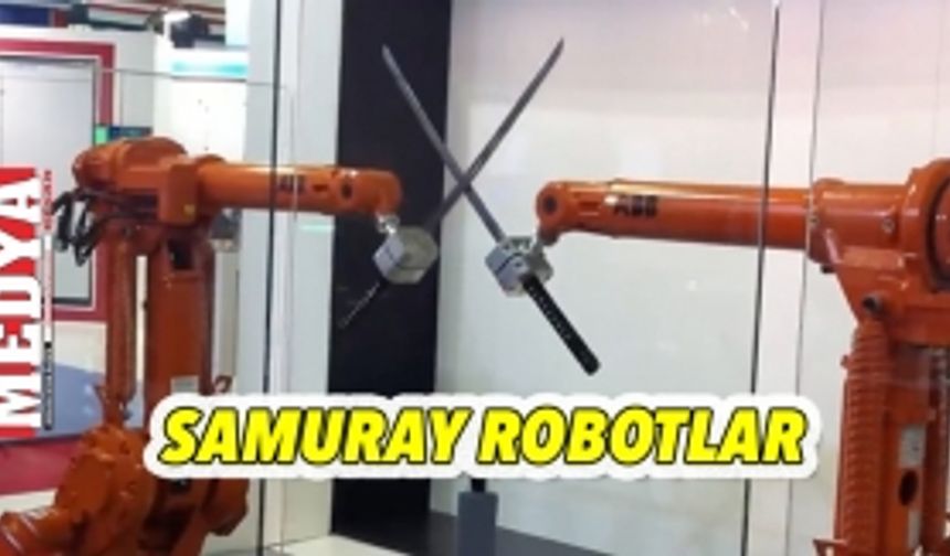 Samuray robotlar